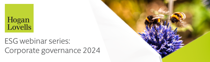 ESG webinar series: Corporate governance 2024